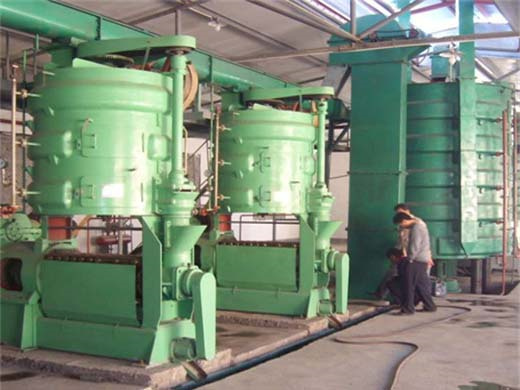 50-150Tpd Soybean Seed Oil Extraction Plant In Kenya