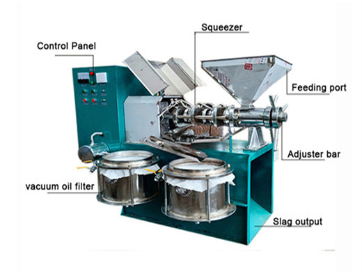 Full Automatic Machine To Extract Peanut Oil