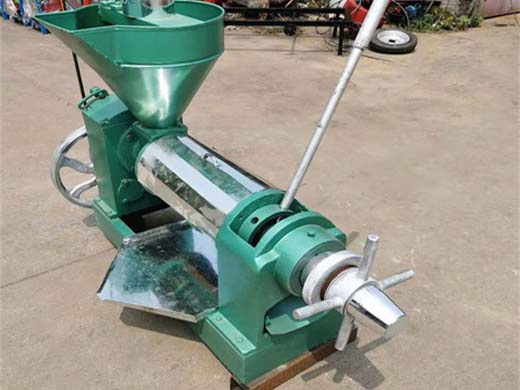 100T/D Pumpkin Seed Oil Press Equipment Iso9001 Ce