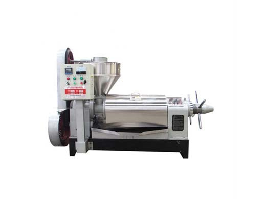 Commercial Pumpkin Seed Oil Seed Press Machines