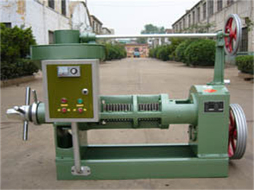New Type Soybean Seed Oil Press Machine In Mozambique
