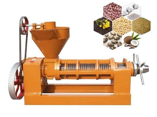 High Output 6Yl-Pumpkin Seeds Oil Machine Screw Oil Press Machine