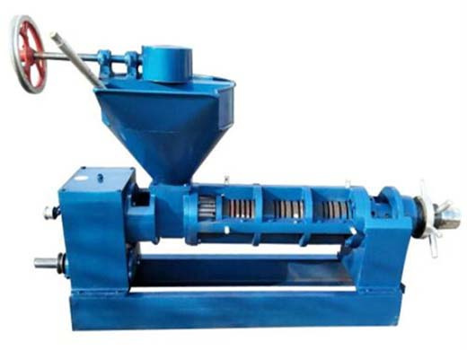 Cotton Cotton Seed Seed Oil Press Machine Electric Extruder