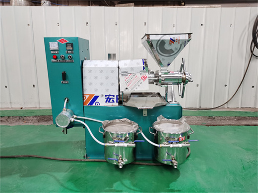 Sesame Corn Germ Oil Extraction Machine In Singapore