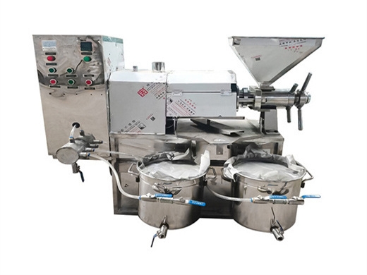 Factory Soybean Peanut Cold Press Oil Machine