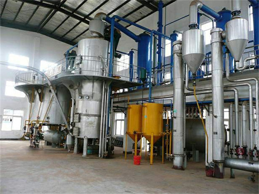 Hot 50Tpd Coconut Oil Refining Fractionation Plant