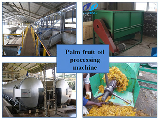 No Pollution Palm Oil Production Machine In Spain