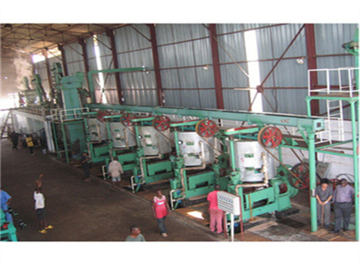 Very Popular Sunflower Coconut Castor Palm Oil Press Machine