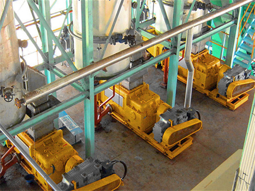 Technology Palm Oil Processing Mill In Johannesburg