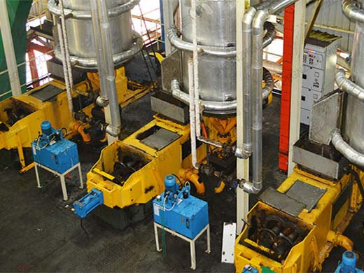 Low Energy Oil Palm Processing Machinery In Tanzania