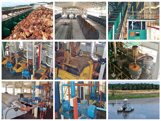Combined Machine Palm Oil Press Yzyx90Wz In Cape Town