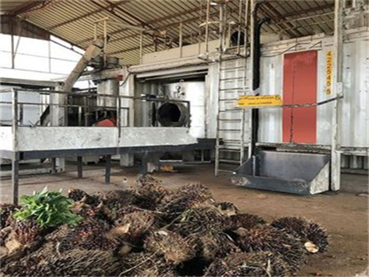 Hot Sales In 20Tpd Palm Oil Making Machine Yzyx168